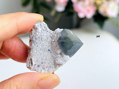 New Find Fluorite Specimen, Morandi- Green / Blue Fluorite on white Quartz from Inner Mongolia China, Chinese Fluorite