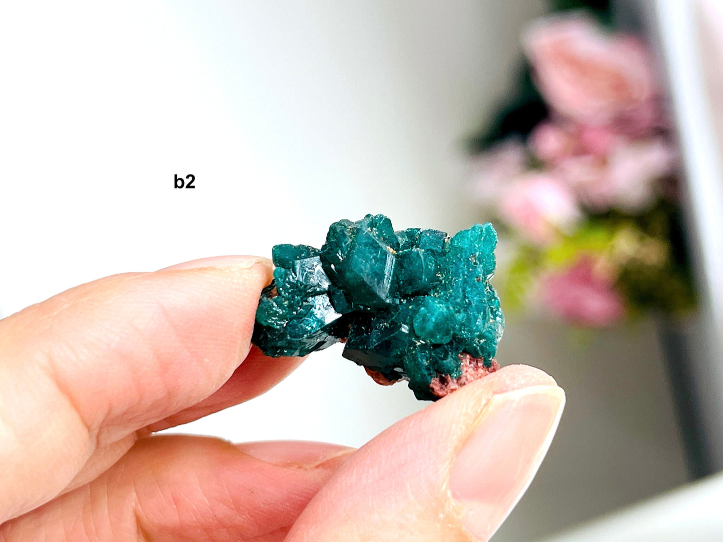 Dioptase Specimen, Dioptase from Sanda Hills,Mindouli,Pool Department,Mindouli District,Congo,green DioptaseCrystal,Dioptase Cluster -1