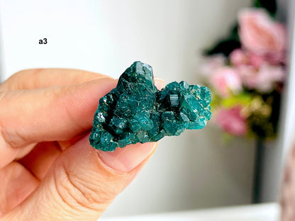 Dioptase Specimen, Dioptase from Sanda Hills,Mindouli,Pool Department,Mindouli District,Congo,green DioptaseCrystal,Dioptase Cluster -1