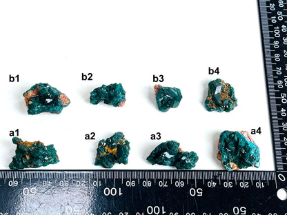 Dioptase Specimen, Dioptase from Sanda Hills,Mindouli,Pool Department,Mindouli District,Congo,green DioptaseCrystal,Dioptase Cluster -1