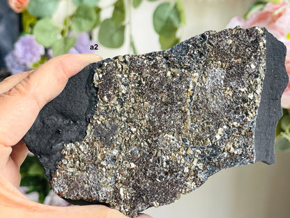 Shungite with Pyrite from Brazil, Natural Shungite, Natural Pyrite specimen, Crystal gift, Raw Shungite -4