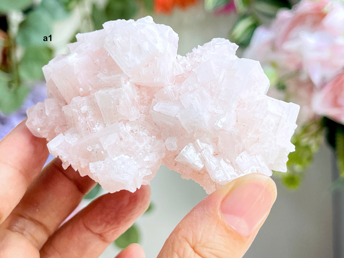 Beautiful Pink Halite Specimen