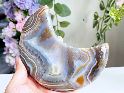 Large Unique Druzy Agate Geode Moon