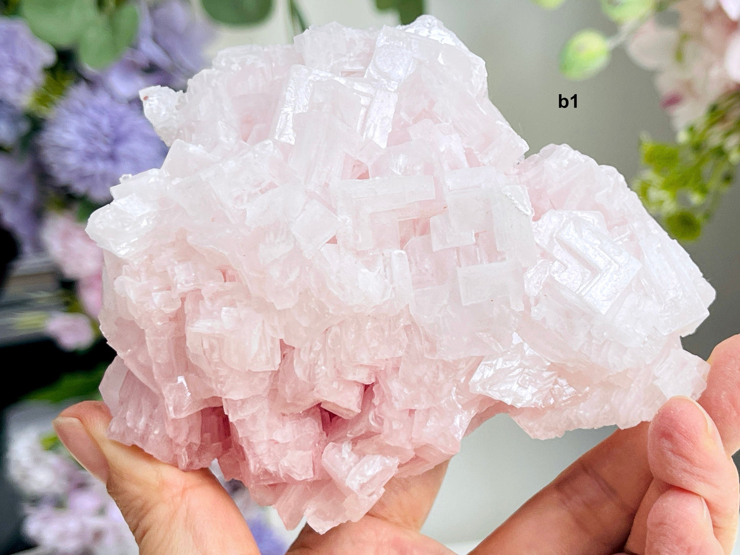 Beautiful Pink Halite Specimen