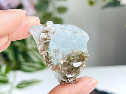 35g Aquamarine Beryl, Blue Aquamarine Specimen