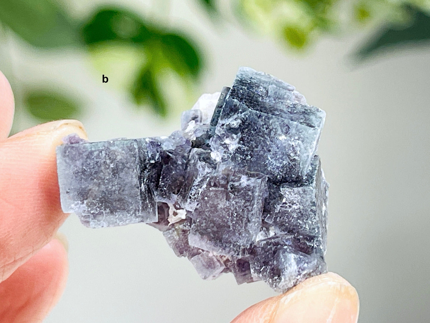 Fluorite Specimen,  Yindu, Inner Mongolia Chinese Fluorite