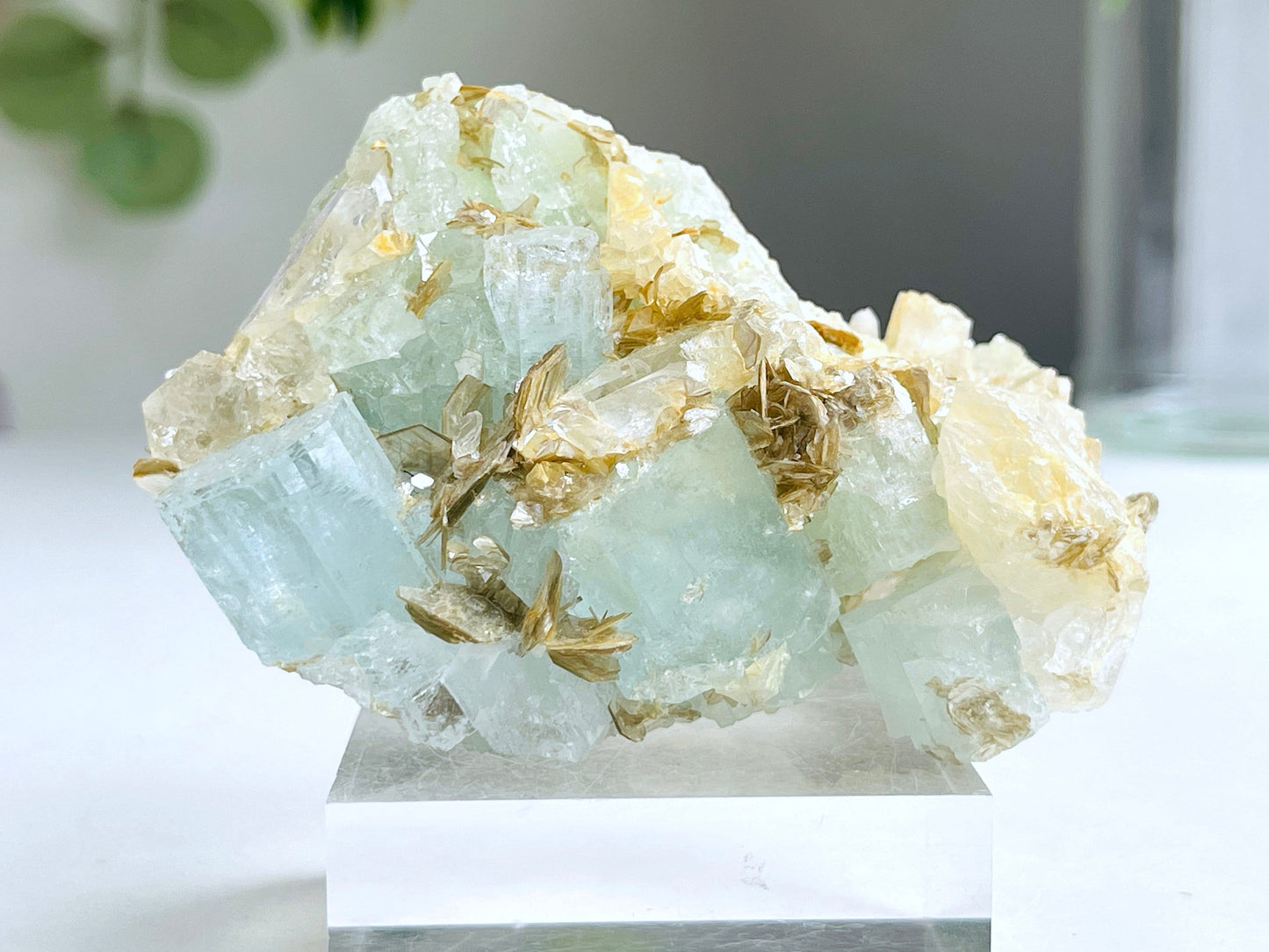 203g Aquamarine Beryl, Blue Aquamarine Specimen