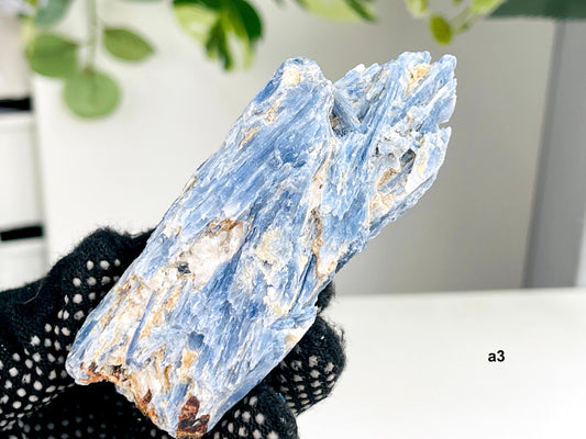 Blue Kyanite Specimen