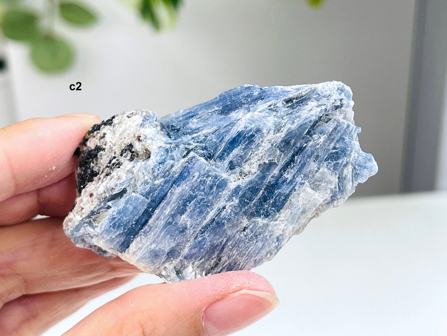 AAA Grade Blue kyanite with calcite crystal