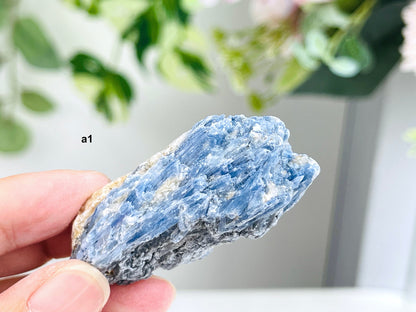 AAA Grade Blue kyanite with calcite crystal