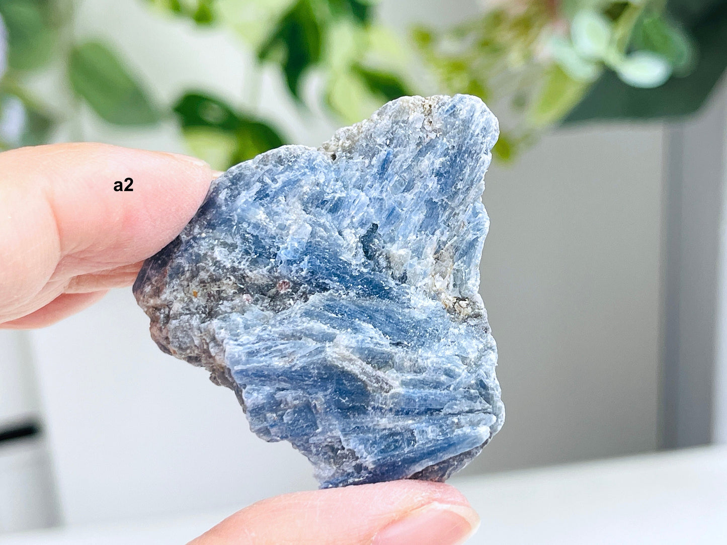 AAA Grade Blue kyanite with calcite crystal