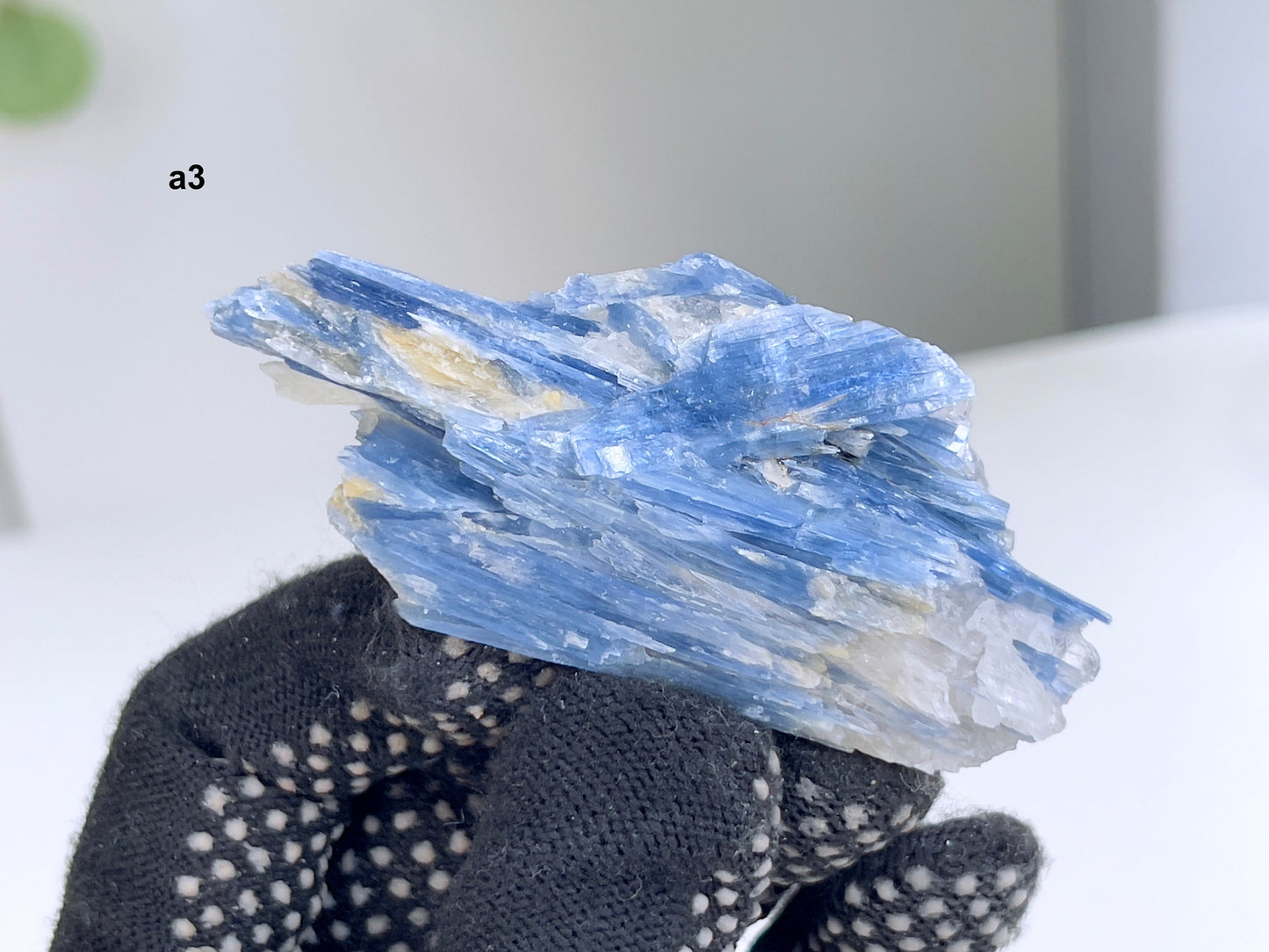 Large  Blue kyanite with Quartz crystal