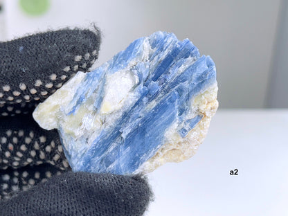 Large  Blue kyanite with Quartz crystal