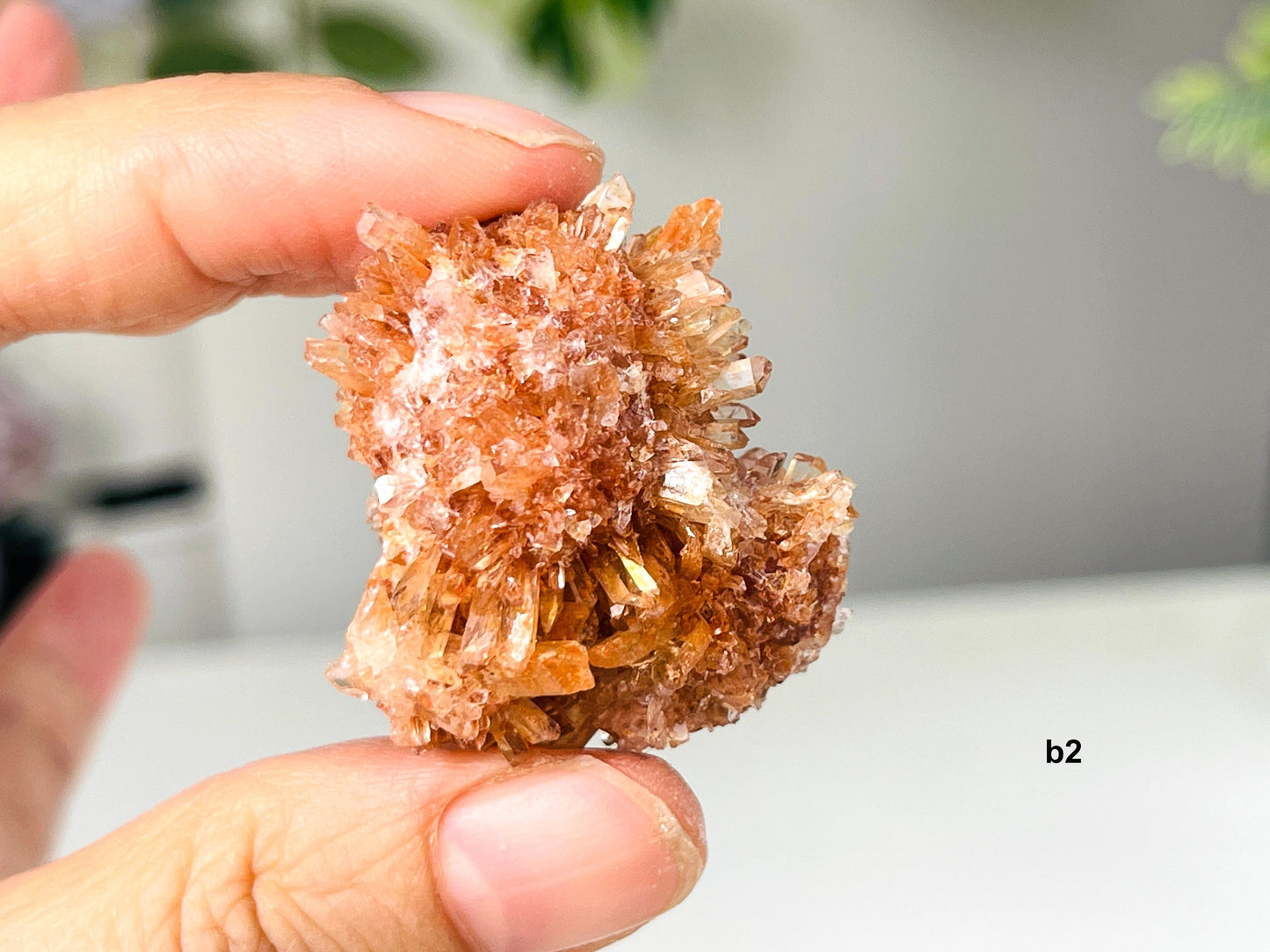 Incredible Rare Creedite Specimen