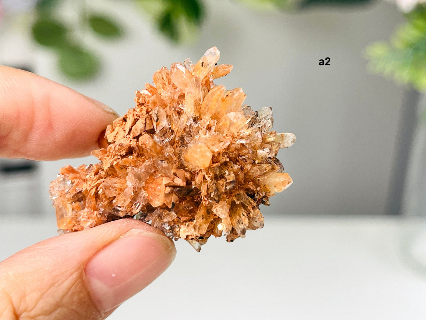 Incredible Rare Creedite Specimen