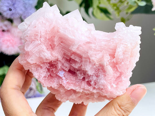 Beautiful Pink Halite Specimen