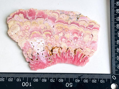 Extraordinary Rhodochrosite slab