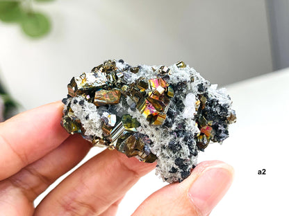 Amazing Pyrite Clusters