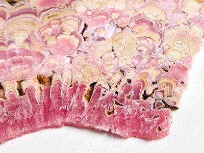 Extraordinary Rhodochrosite slab