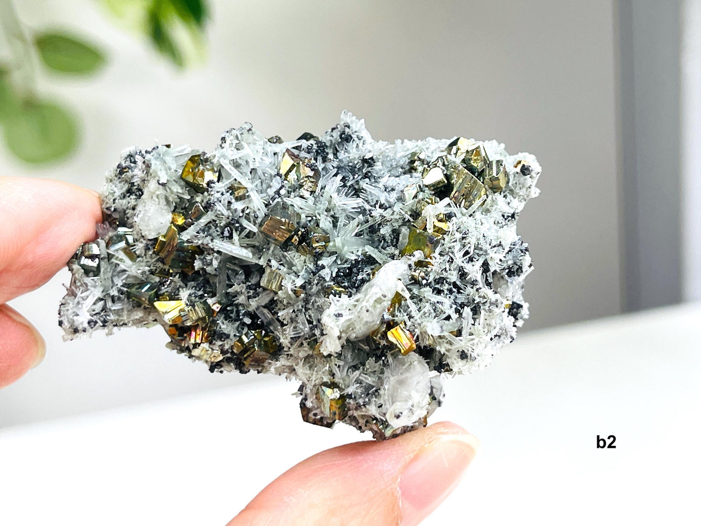 Amazing Pyrite Clusters