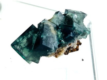 Extraordinary Fluorite Specimen-Fairy Holes Pocket,  Lady Annabbella Mine, Durham England. Mineral Specimen.Collectors Fluorite-G2