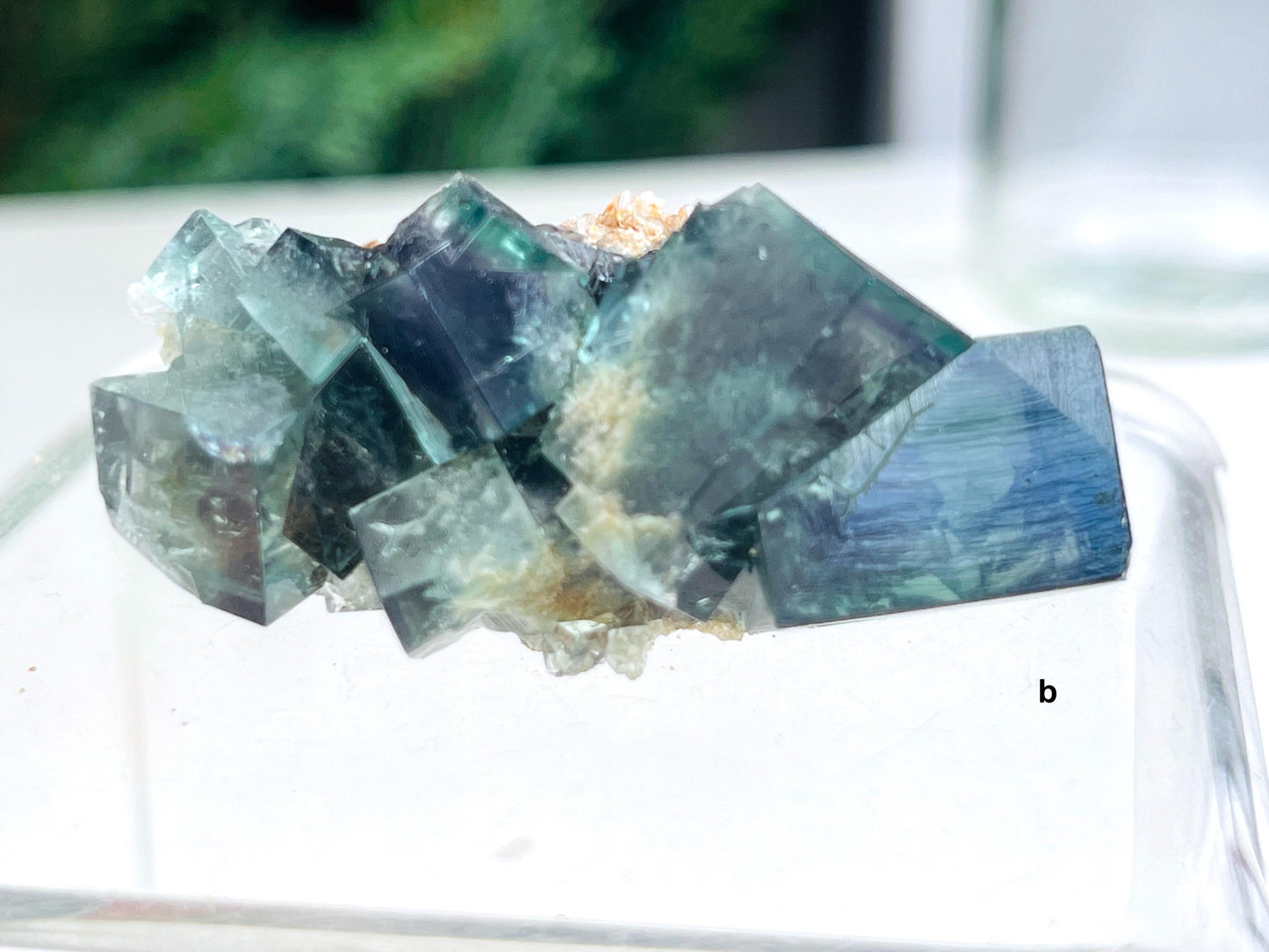 Extraordinary Fluorite Specimen-Fairy Holes Pocket,  Lady Annabbella Mine, Durham England. Mineral Specimen.Collectors Fluorite-G2