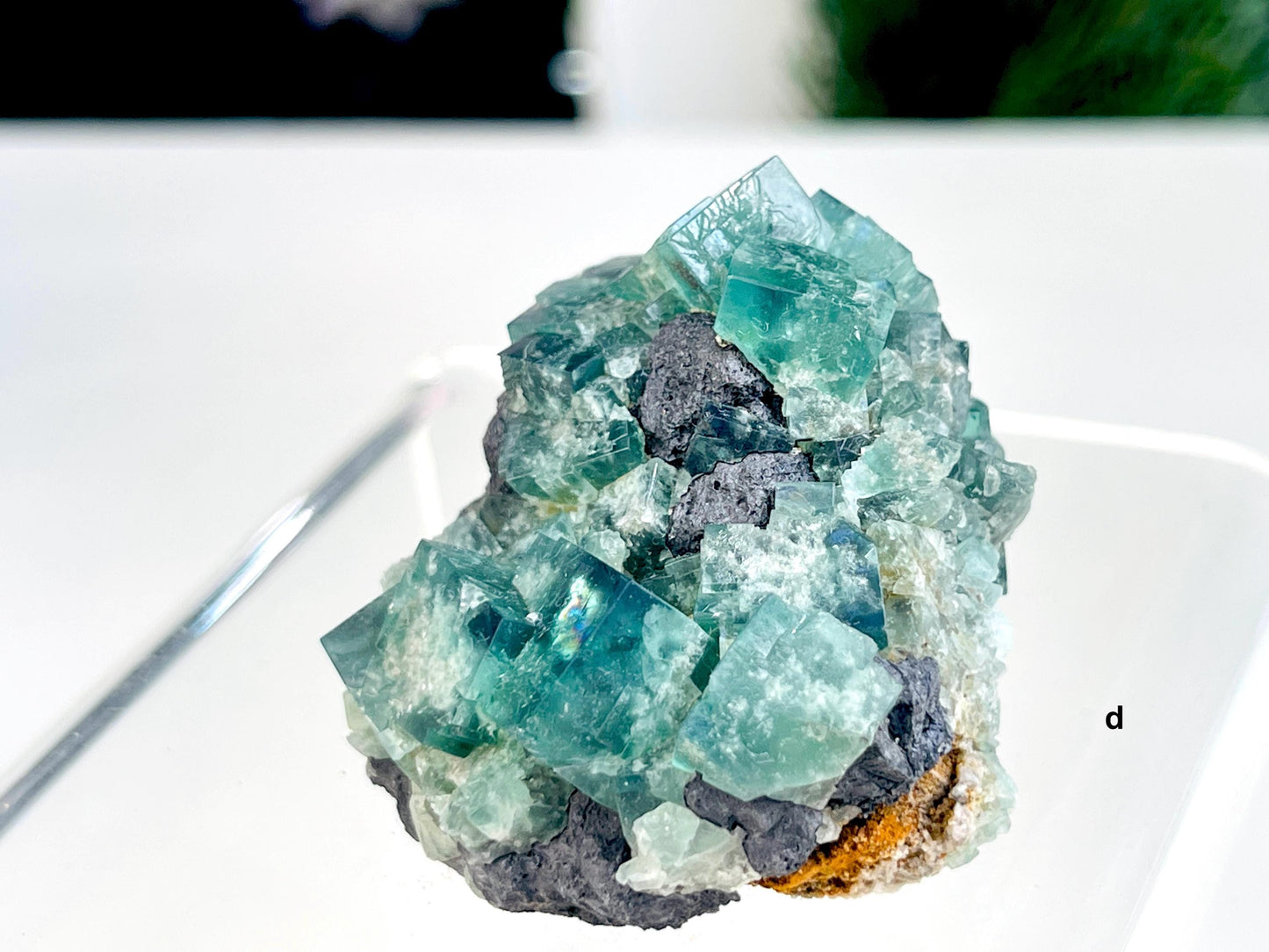 Extraordinary Fluorite Specimen-Northern Light Pocket, River Catcher Vein, Diana Maria Mine, Durham England. English Fluorite-G3