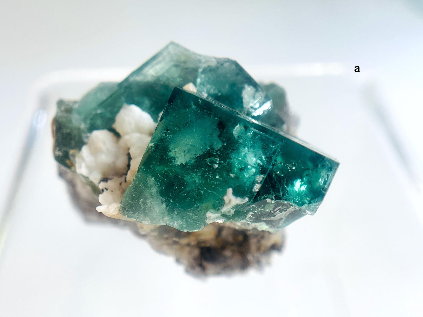 Extraordinary Fluorite Specimen-Truffle Pig Pocket, Diana Maria, Frosterley, Weardale, England. Mineral Specimen.Collectors Fluorite-G1