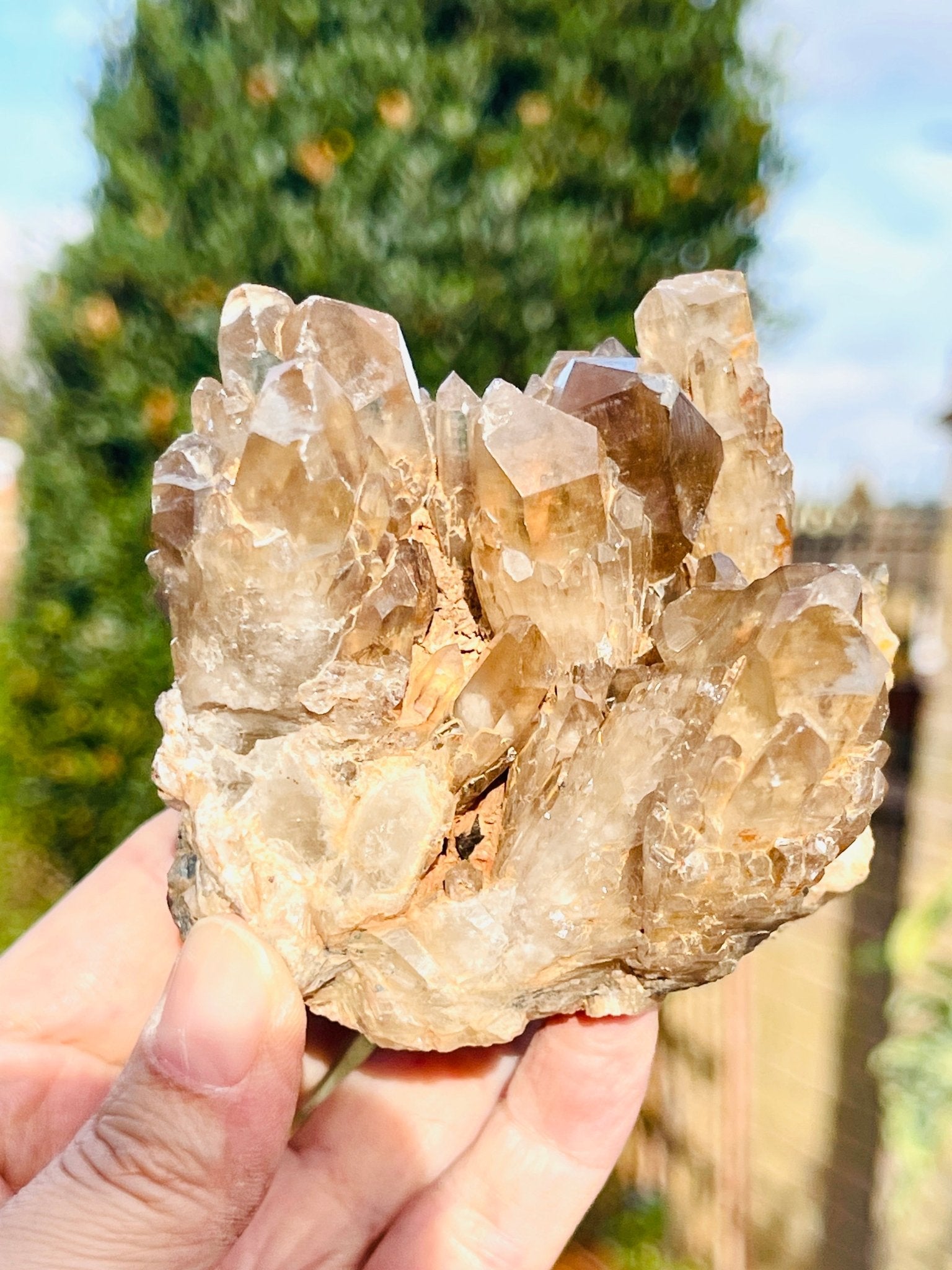 Kundalini Citrine Crystal, Natural Congo Citrine Cluster - Million Years Crystal