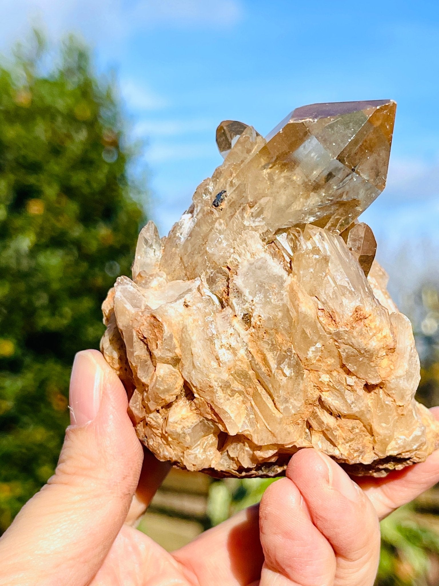 Kundalini Citrine Crystal, Natural Congo Citrine Cluster - Million Years Crystal