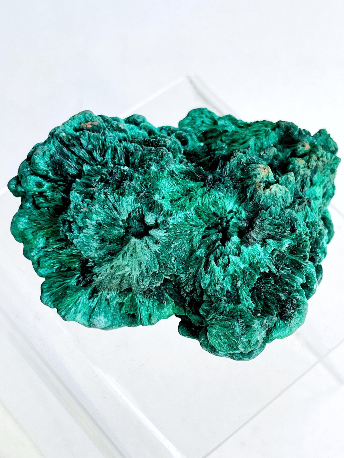 Malachite Specimen, Unique Velvet Cat eye Malachite, Rare Malachite Specimen, Raw Malachite Specimen, Crystal Gift, Unique Gift - Million Years Crystal