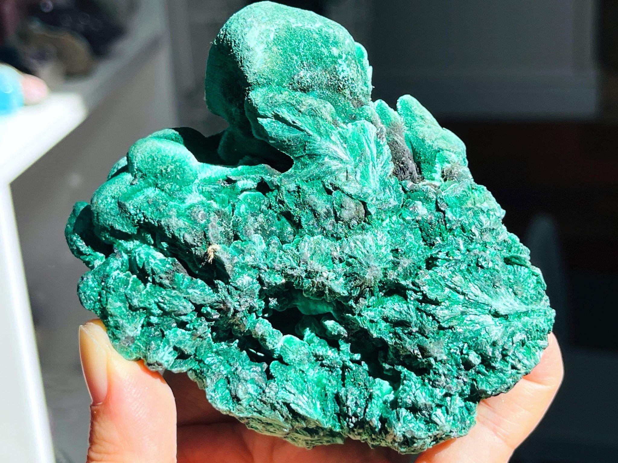 Malachite Specimen, Unique Velvet Cat eye Malachite, Rare Malachite Specimen, Raw Malachite Specimen, Crystal Gift, Unique Gift - Million Years Crystal