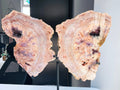 Museum Size Pink Amethyst Angel Wings XXXL Brazilian Collector Specimen on Custom Stand - Million Years Crystal
