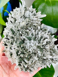 Needle Quartz Cluster with Epidote & Pyrite | Bulgaria Mineral Specimen