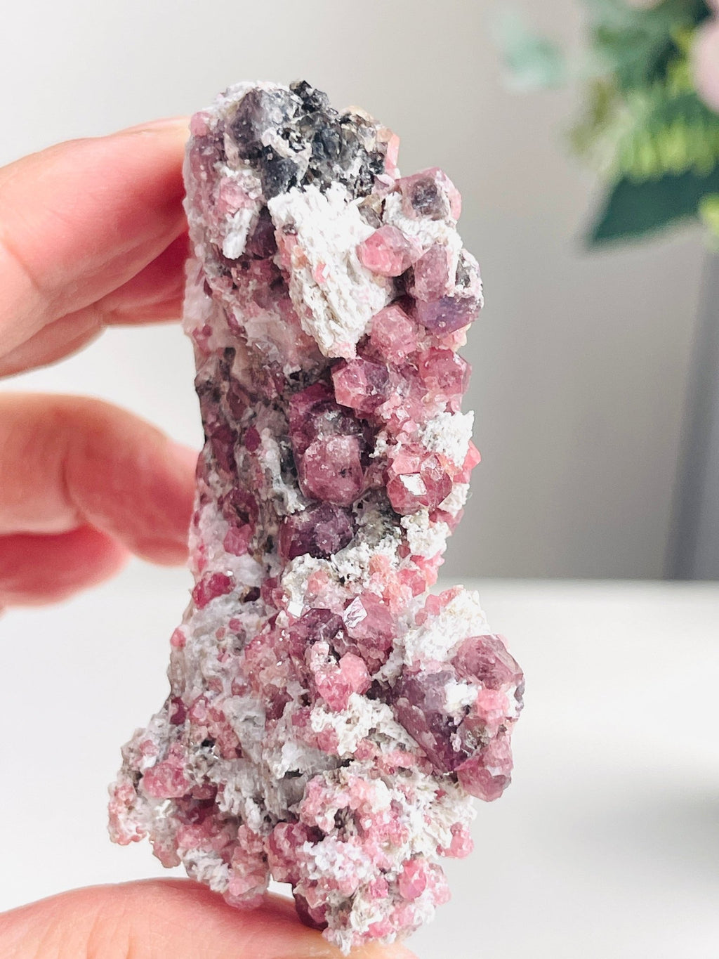 New Find !! Grossular Garnet, Rare Raspberry Pink Garnet Mineral Specimen ~ Coahuila, Mexico -10 - Million Years Crystal