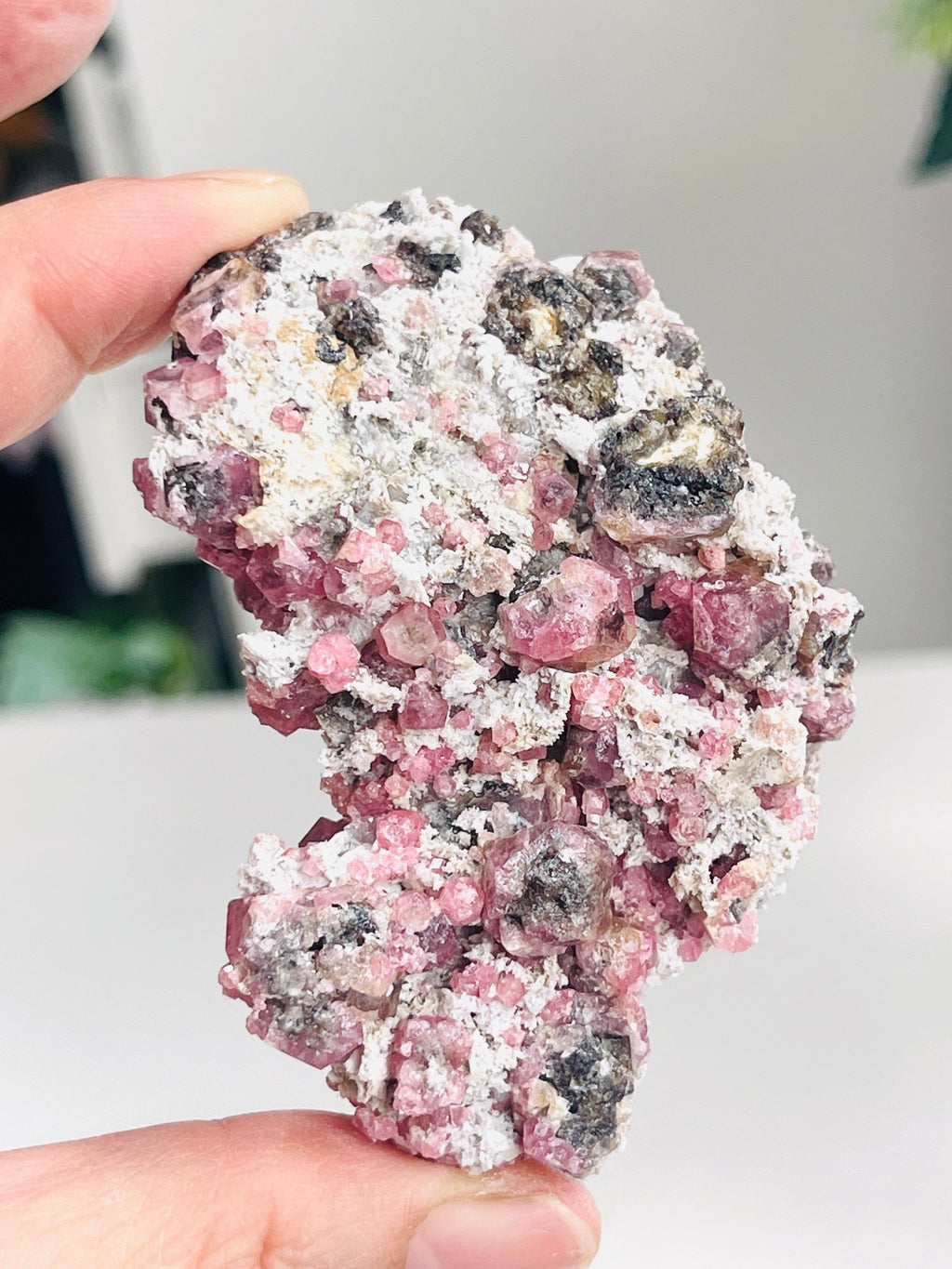 New Find !! Grossular Garnet, Rare Raspberry Pink Garnet Mineral Specimen ~ Coahuila, Mexico -10 - Million Years Crystal