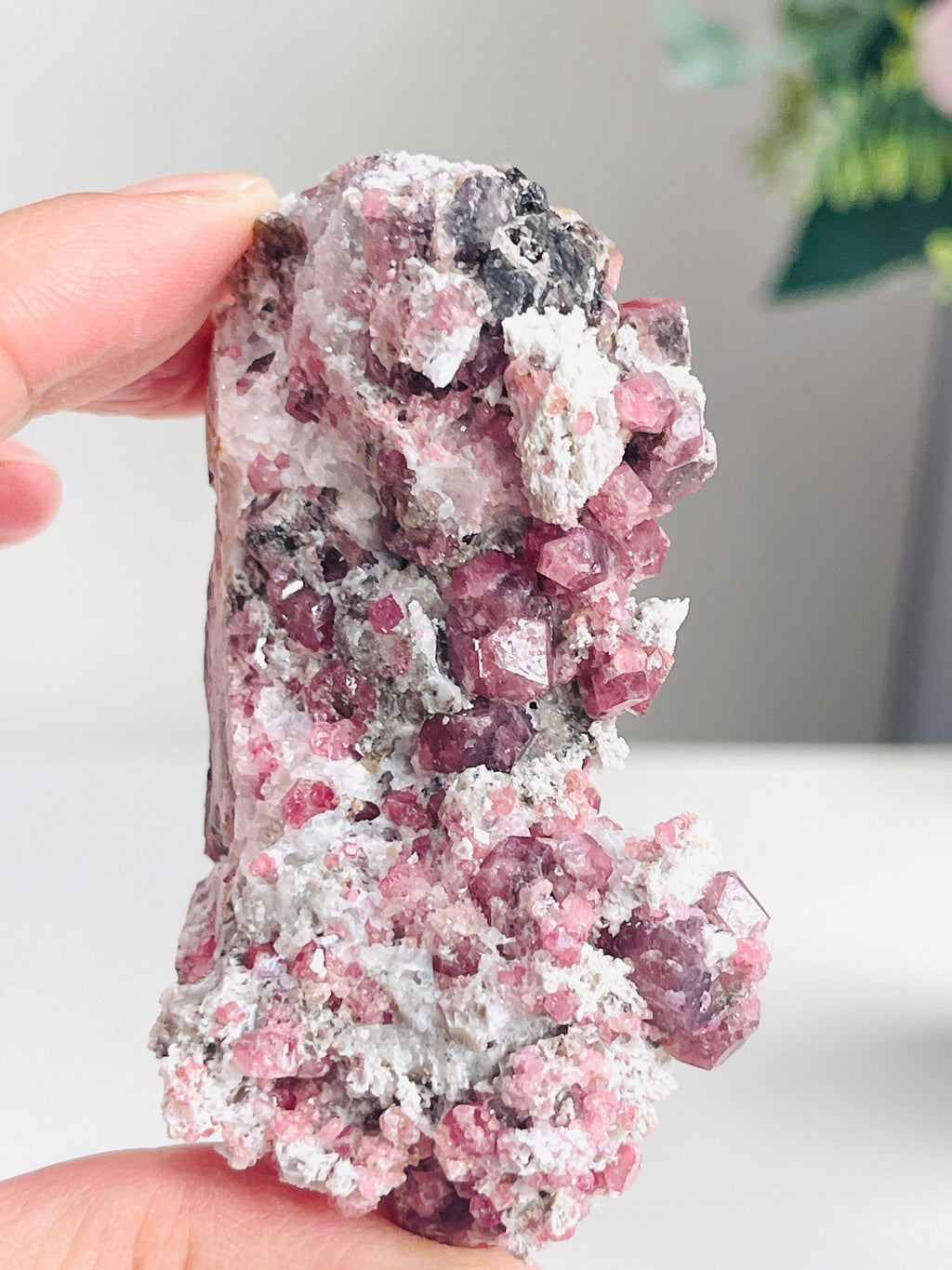 New Find !! Grossular Garnet, Rare Raspberry Pink Garnet Mineral Specimen ~ Coahuila, Mexico -10 - Million Years Crystal