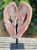 Pink Amethyst Angel Wings on Custom Metal Stand - Million Years Crystal