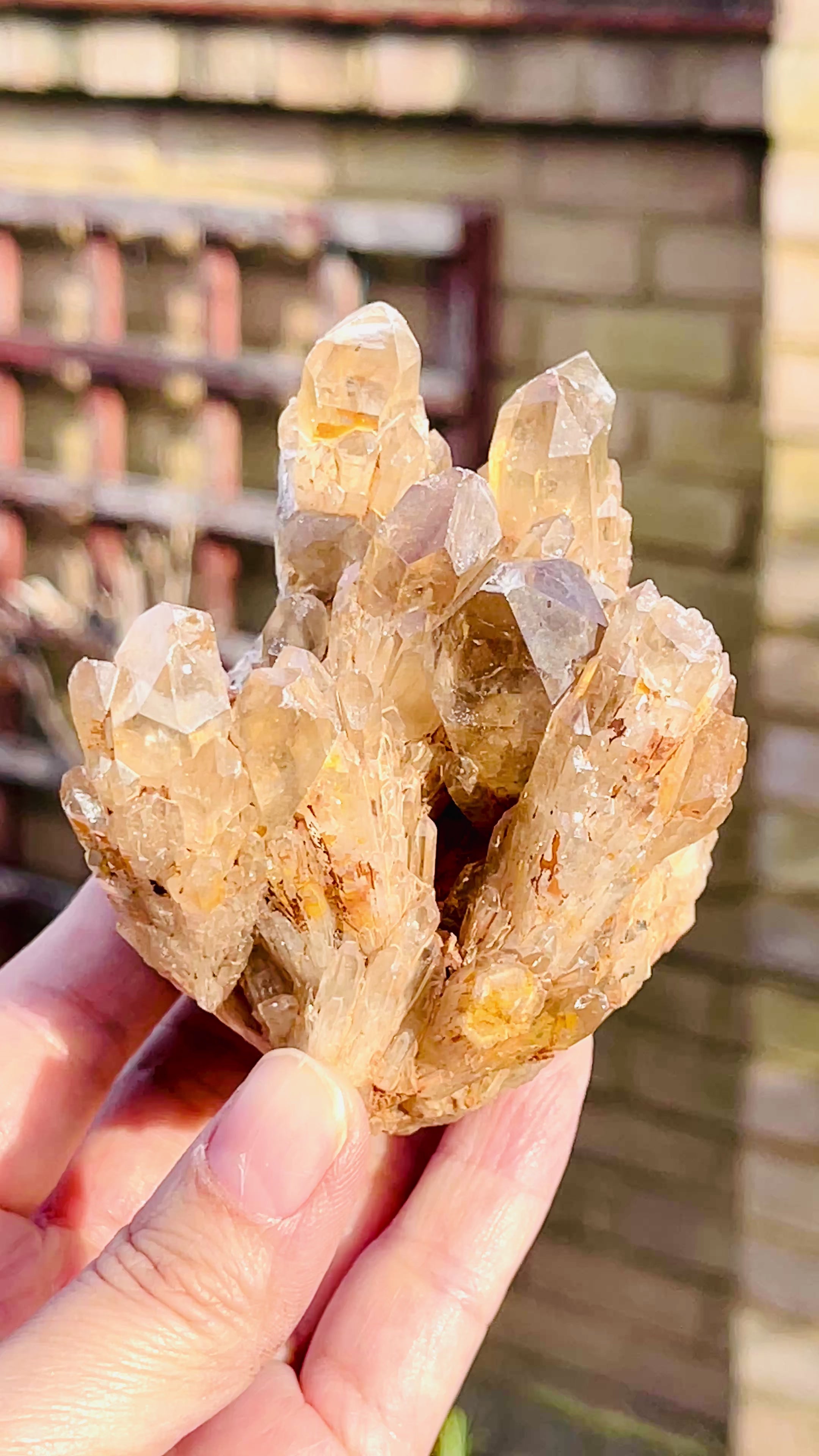 Kundalini Citrine Crystal, Natural Congo Citrine Cluster