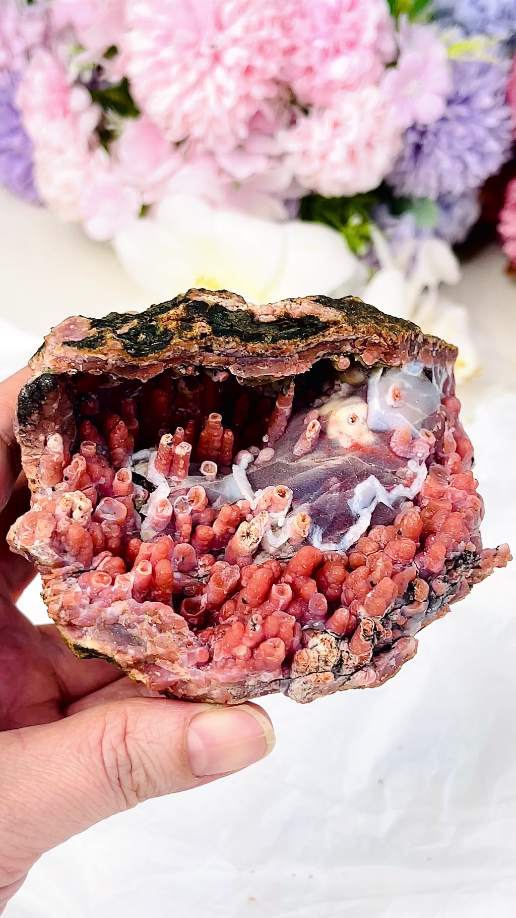 The "Forbidden Coral": Moroccan Red Chalcedony Geode