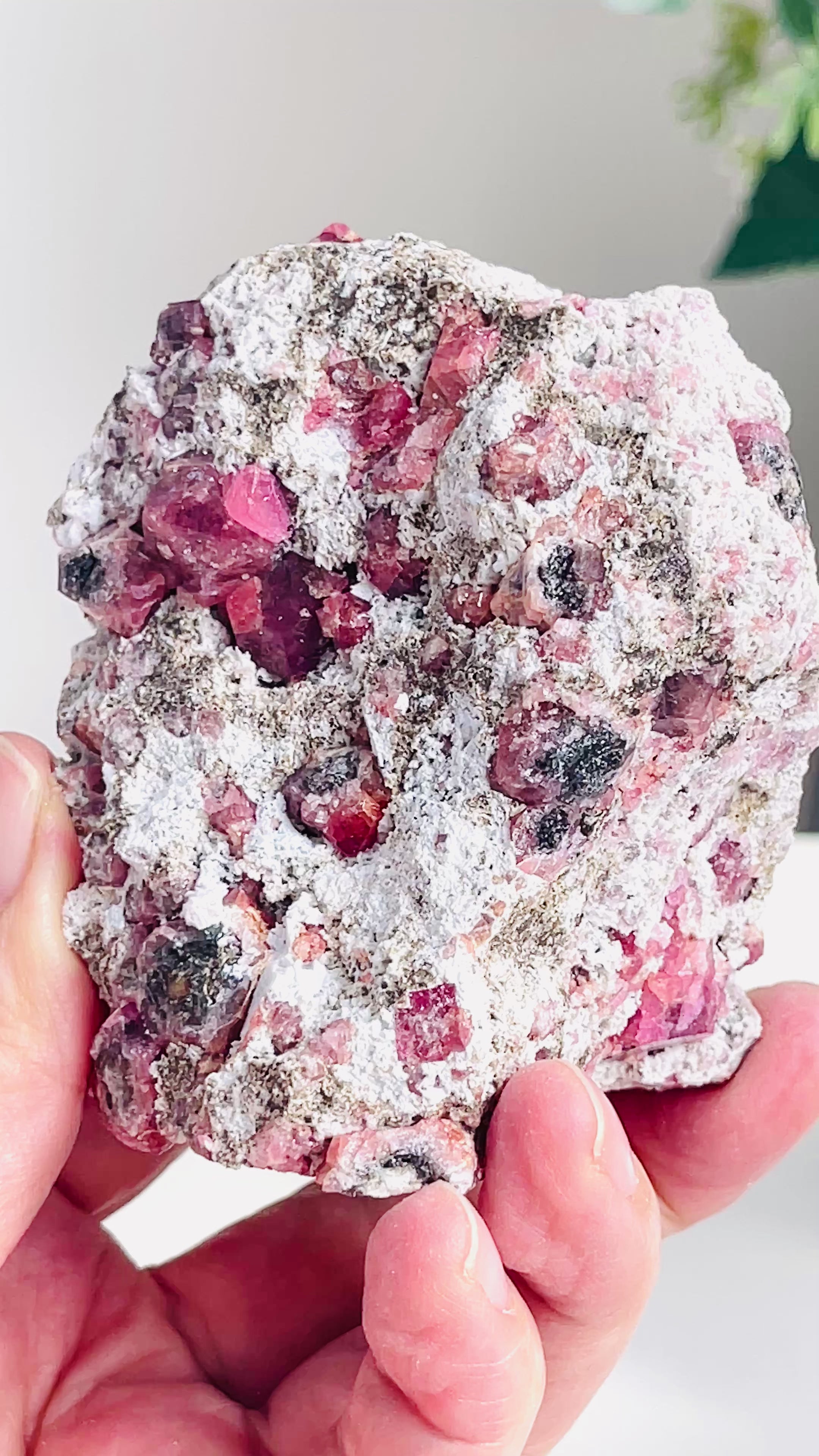Rare Grossular Raspberry Pink Garnet Specimen | Closed Mine | Coahuila, Mexico