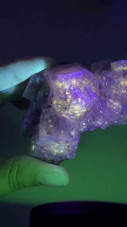 New Find Petroleum Fluorite