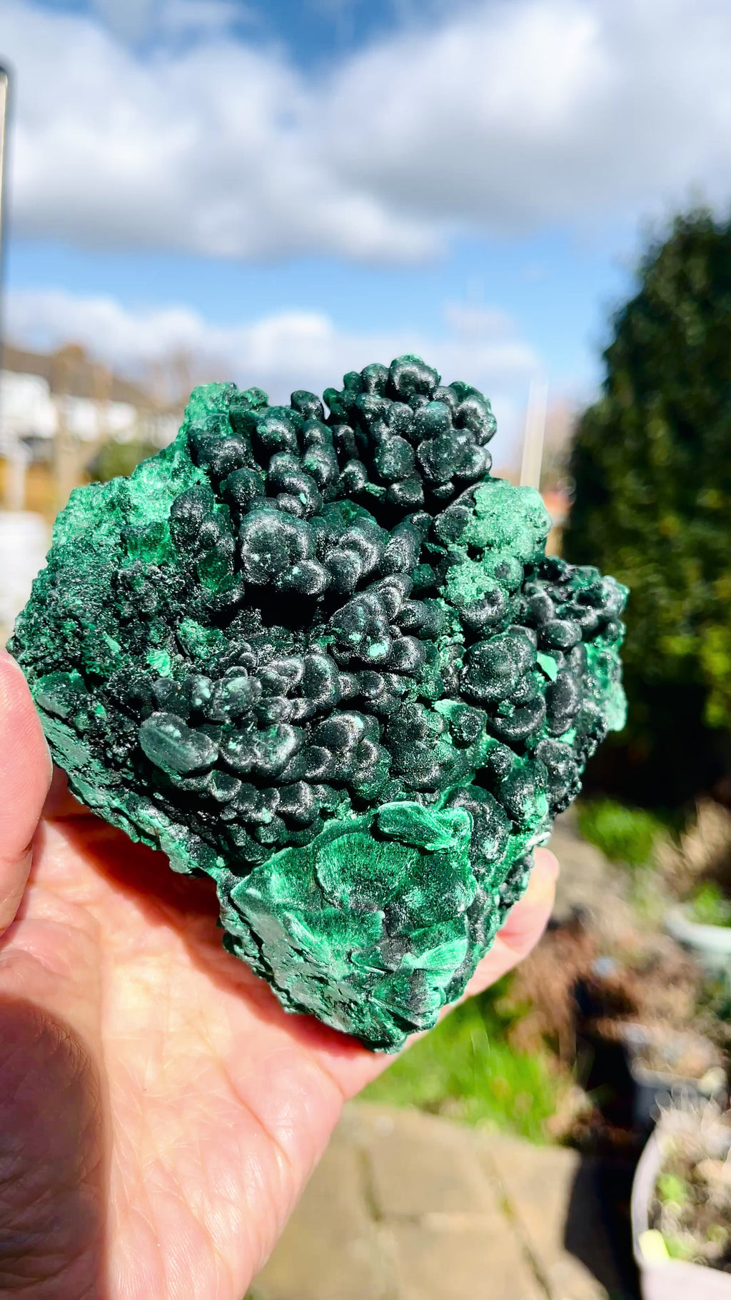 Malachite Specimen,  Botryoidal Malachite