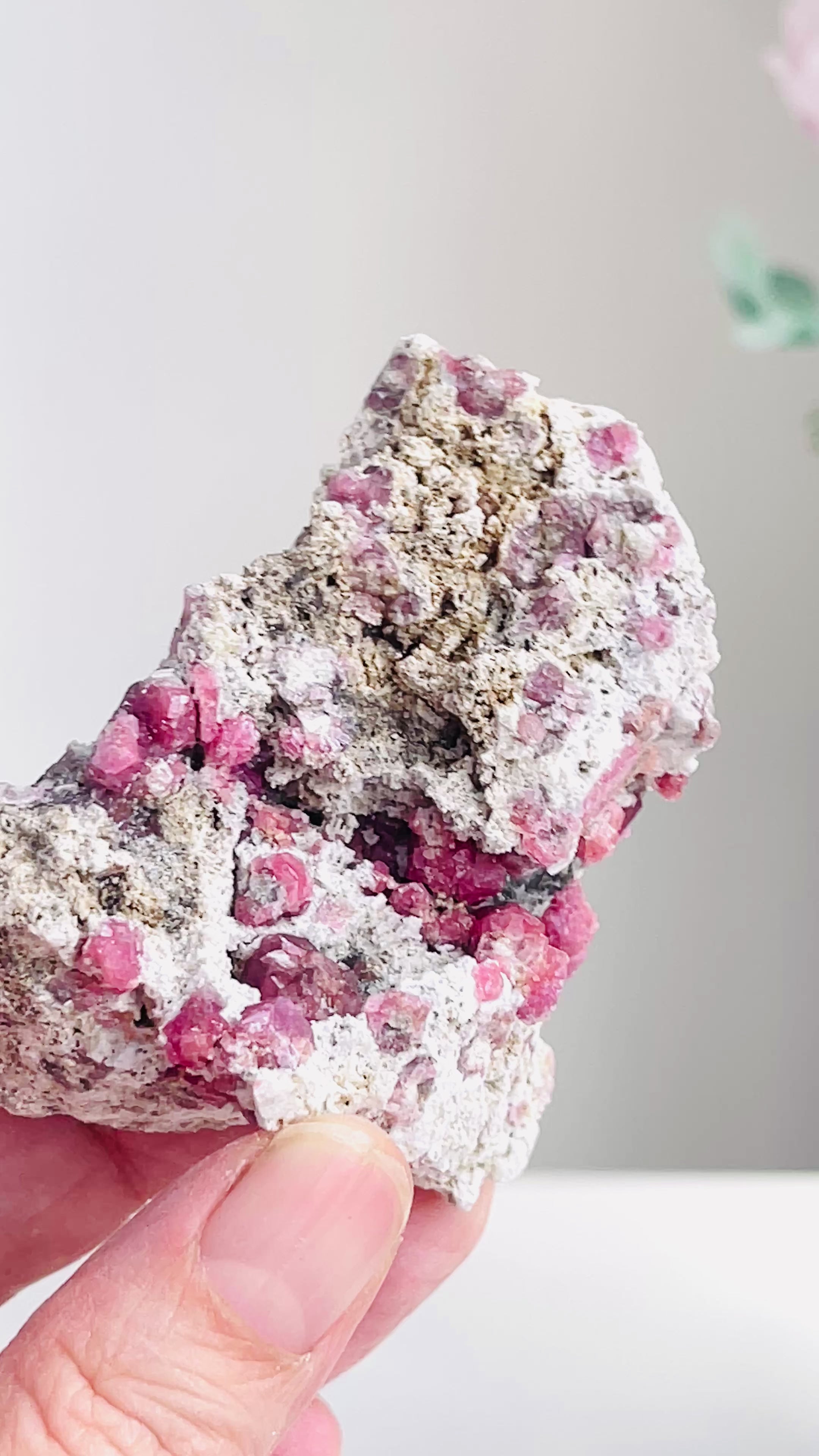 Rare Grossular Raspberry Pink Garnet Specimen | Closed Mine | Coahuila, Mexico 5