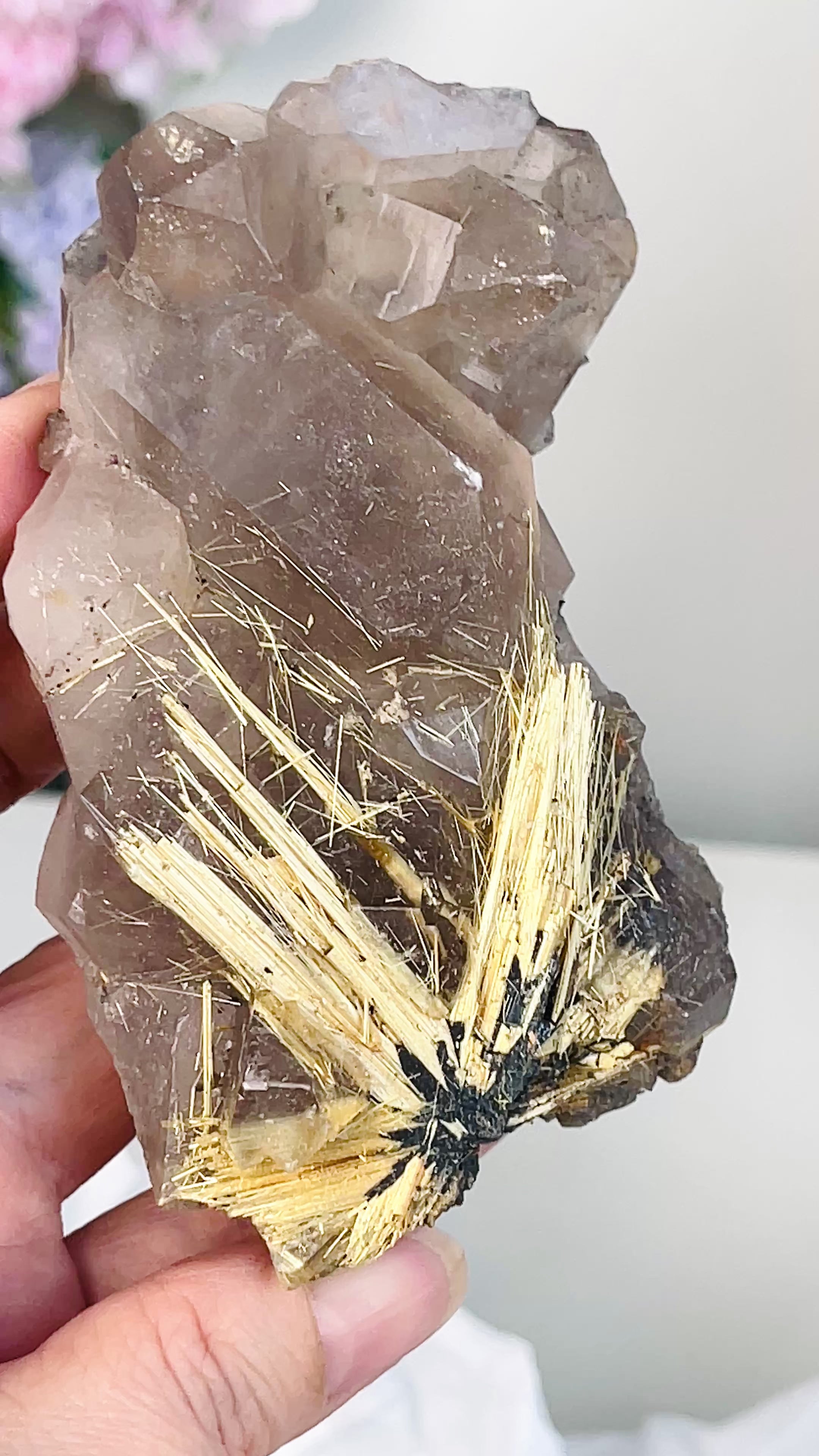 Golden Rutile with Hematite on Quartz