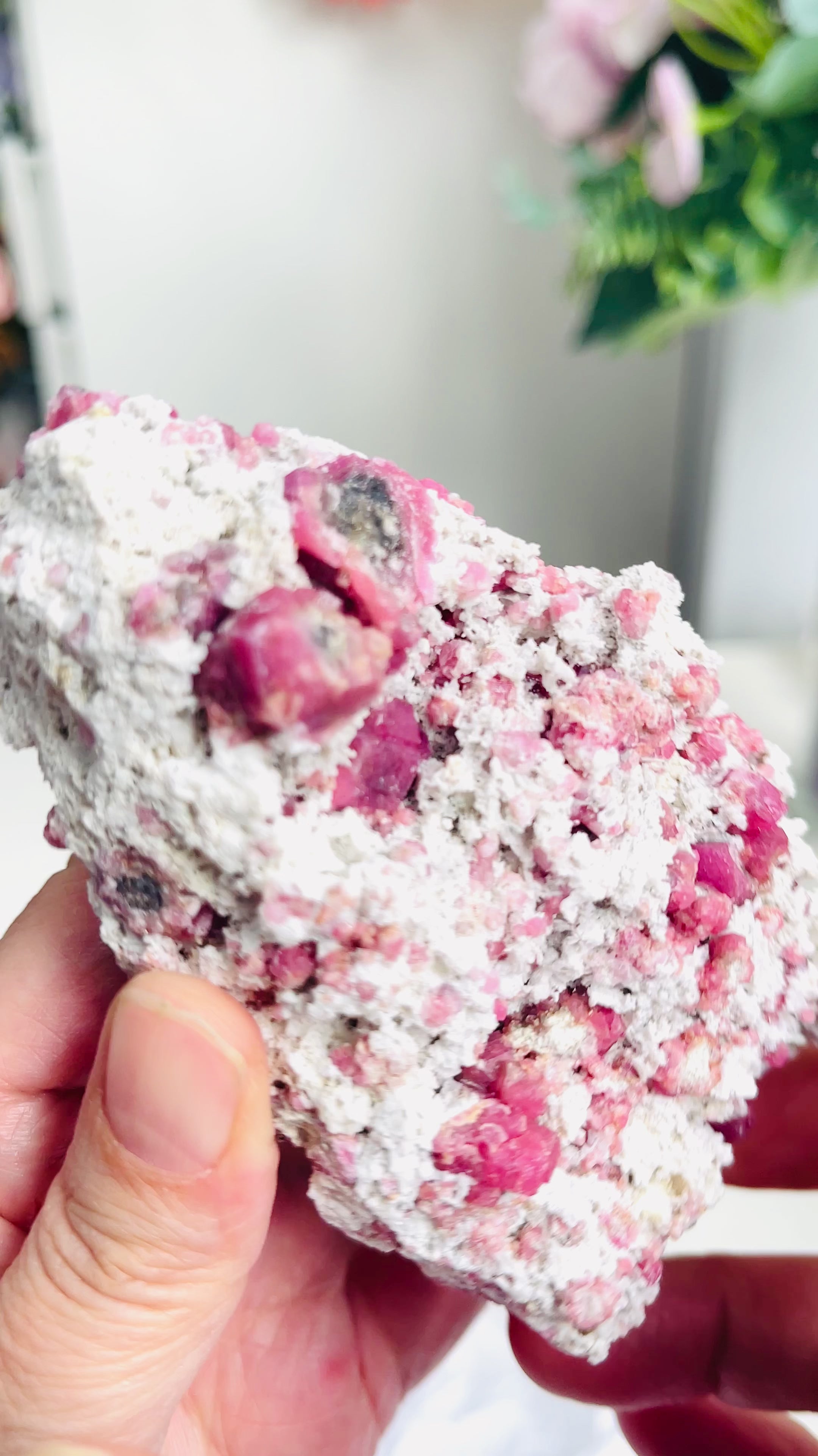 Rare Raspberry Pink Garnet Specimen | Closed Mine | Coahuila, Mexico (277g)