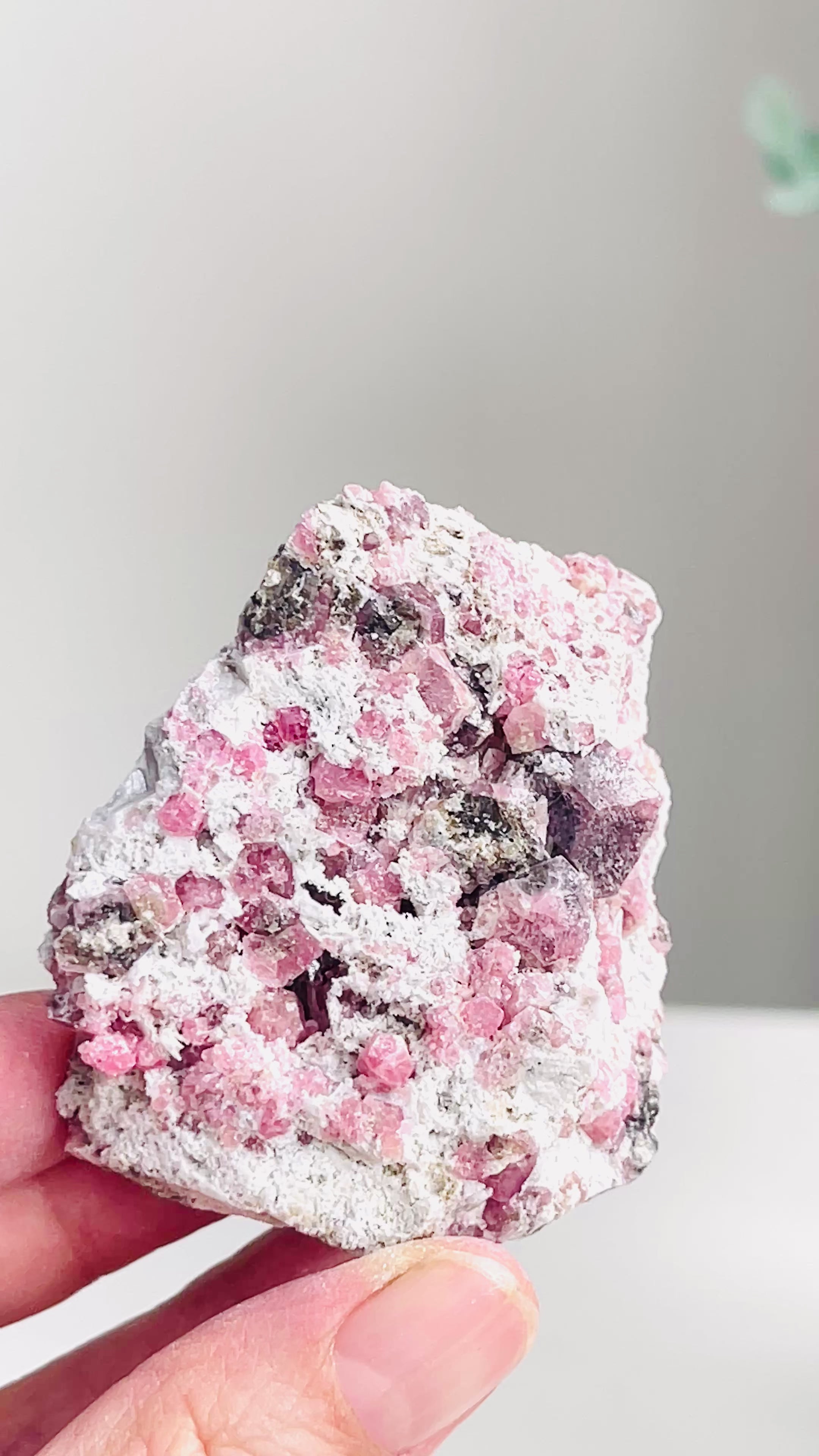 New Find !! Grossular Garnet, Rare Raspberry Pink Garnet Mineral Specimen ~ Coahuila, Mexico - 11