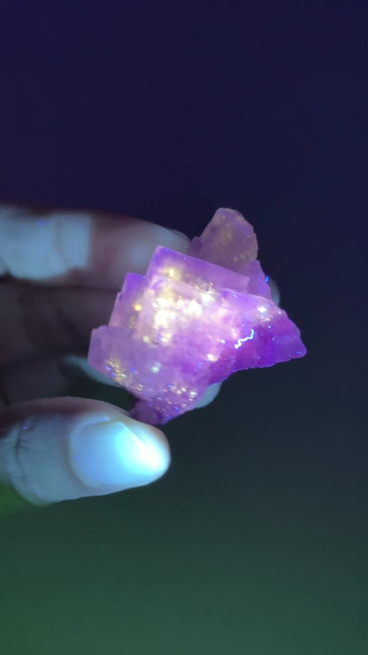 New Find Petroleum Fluorite -33g