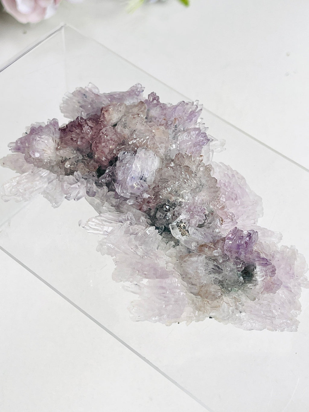 Rare Intact Amethyst "Flower" Formation | Delicate Brazilian Mineral Specimen - Million Years Crystal