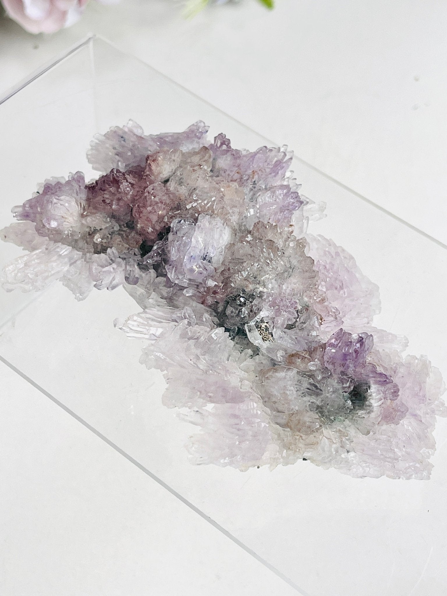 Rare Intact Amethyst "Flower" Formation | Delicate Brazilian Mineral Specimen - Million Years Crystal
